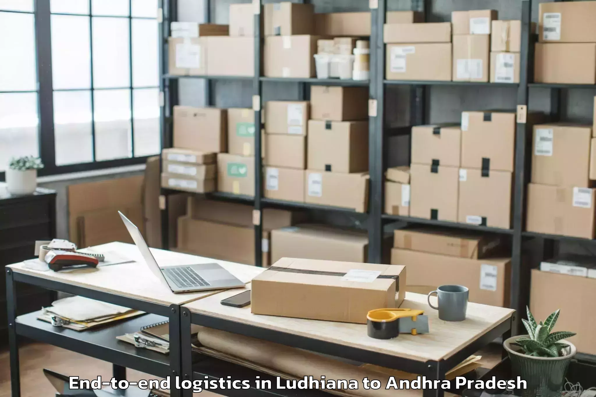 Professional Ludhiana to Pedda Kadubur End To End Logistics